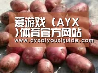 产品展示标题5