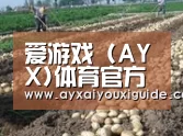 种植基地八