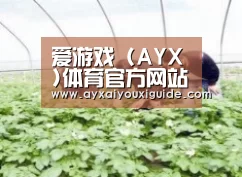 种植基地三