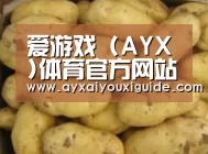 产品展示标题6