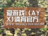 种植基地八(图1)