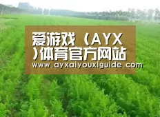 种植基地四