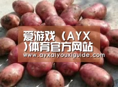 产品展示标题5(图1)